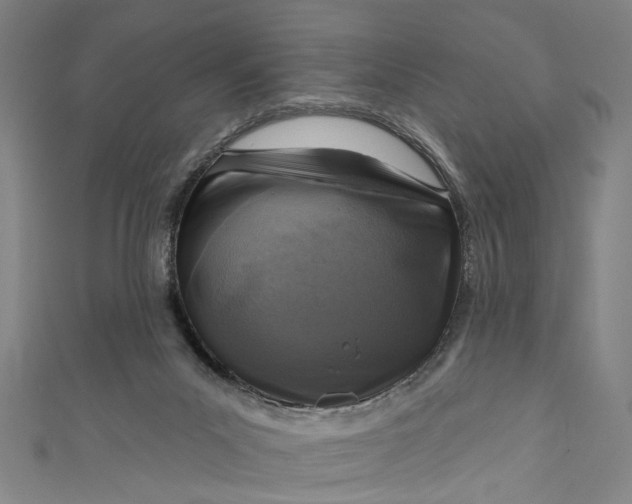 X0000111180023200907221058