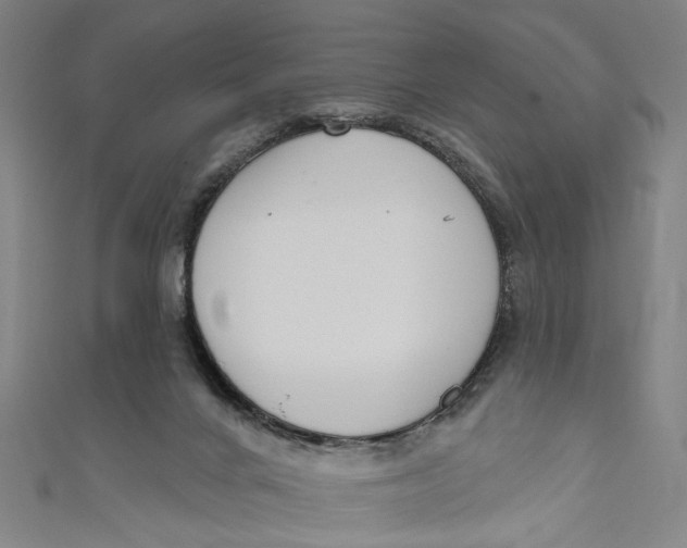 X0000111180024200907221058