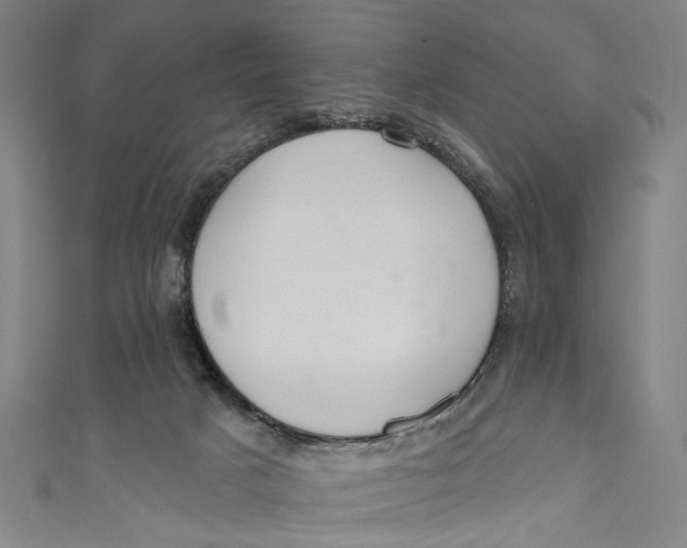 X0000111180025200907221058