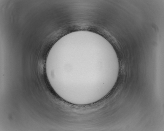 X0000111180026200907221058