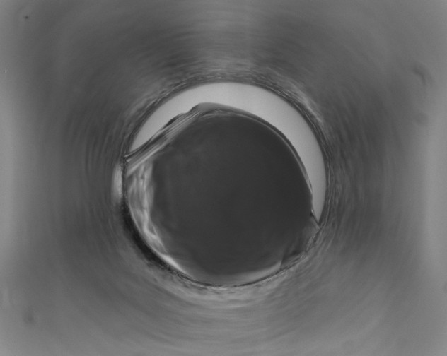 X0000111180027200907221058