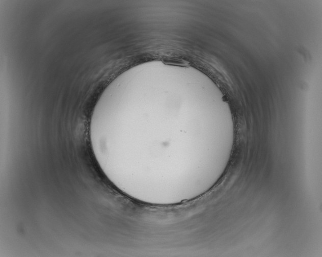 X0000111180029200907221058