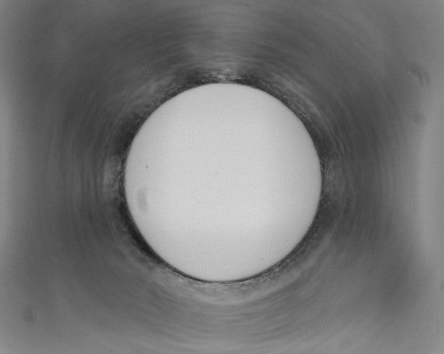 X0000111180030200907221058