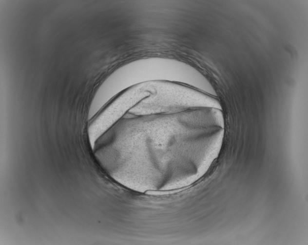 X0000111180033200907221058