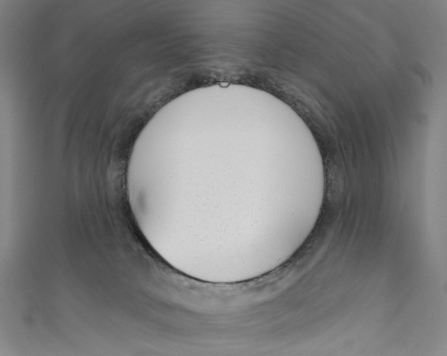 X0000111180034200907221057