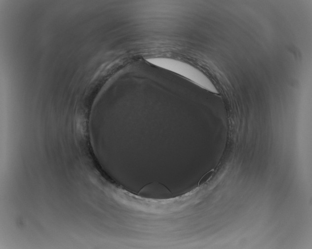 X0000111180035200907221057