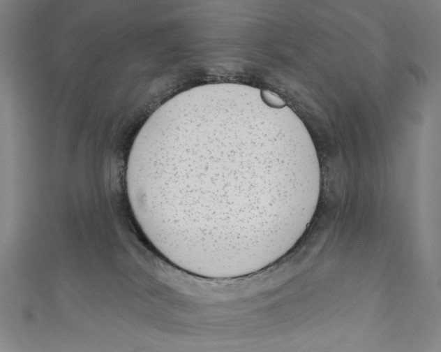 X0000111180038200907221057