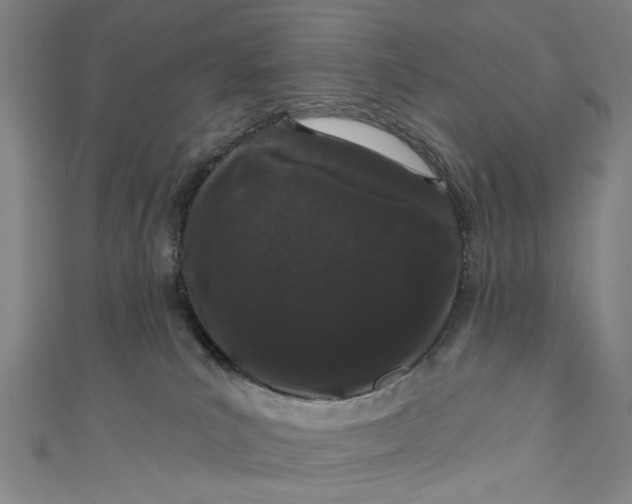 X0000111180039200907221057