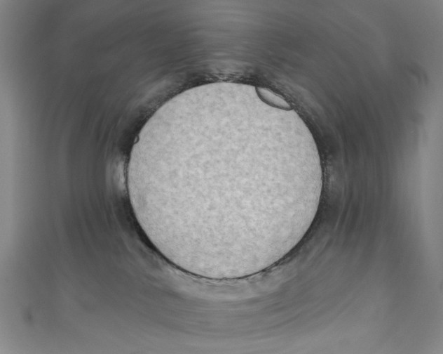 X0000111180042200907221057