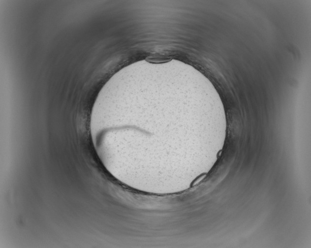 X0000111180044200907221057