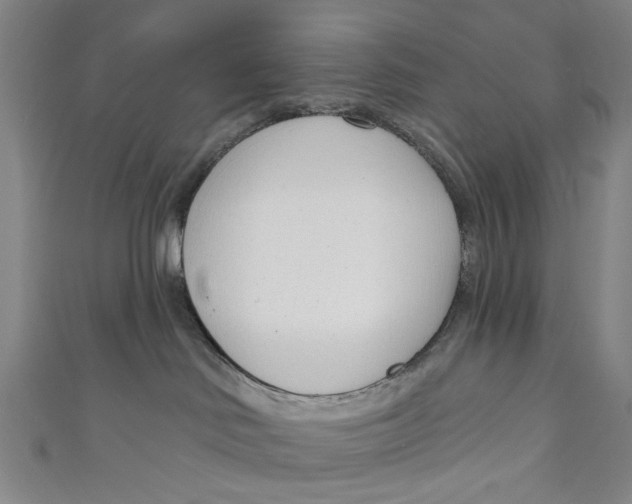 X0000111180046200907221057