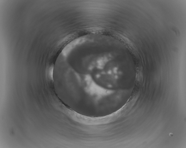 X0000111180047200907221057