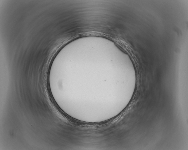 X0000111180049200907221057