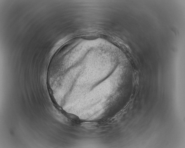 X0000111180051200907221057