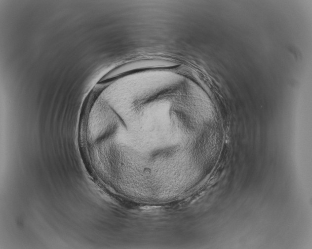 X0000111180052200907221057