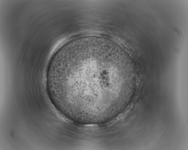 X0000111180053200907221057