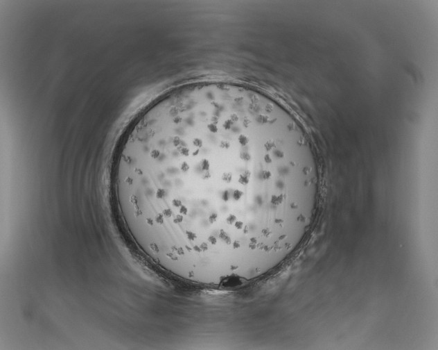 X0000111180055200907221057