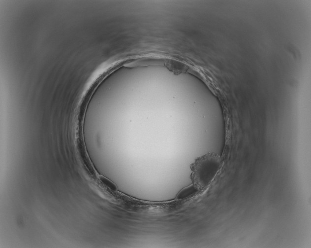 X0000111180056200907221057