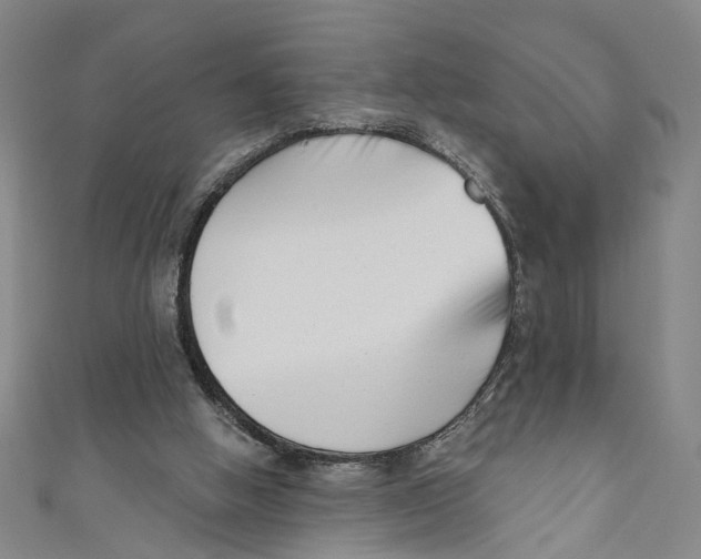 X0000111180058200907221057