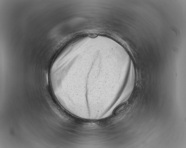 X0000111180061200907221057