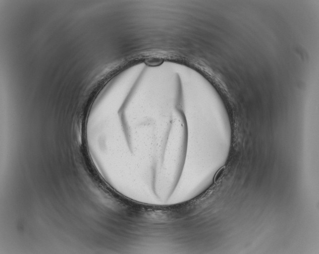 X0000111180062200907221057