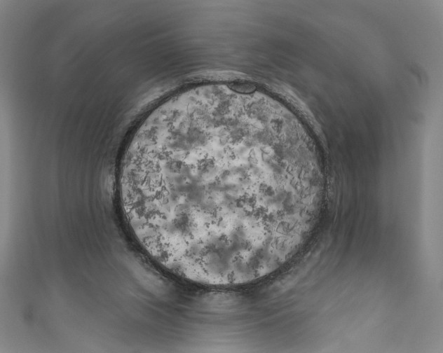 X0000111180063200907221057