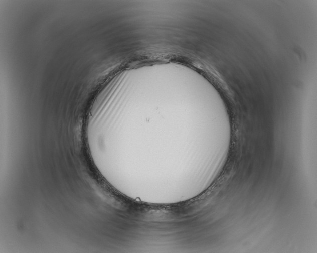 X0000111180066200907221057