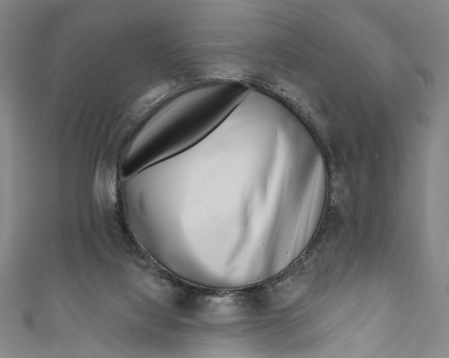 X0000111180068200907221057