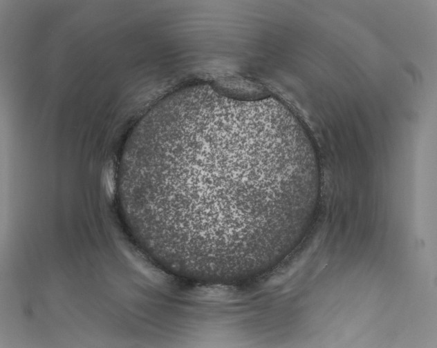 X0000111180069200907221057