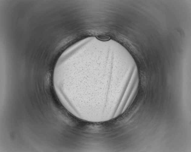 X0000111180071200907221057