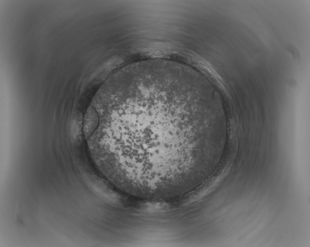 X0000111180073200907221057