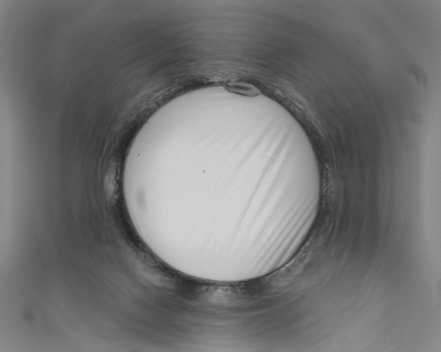 X0000111180074200907221057