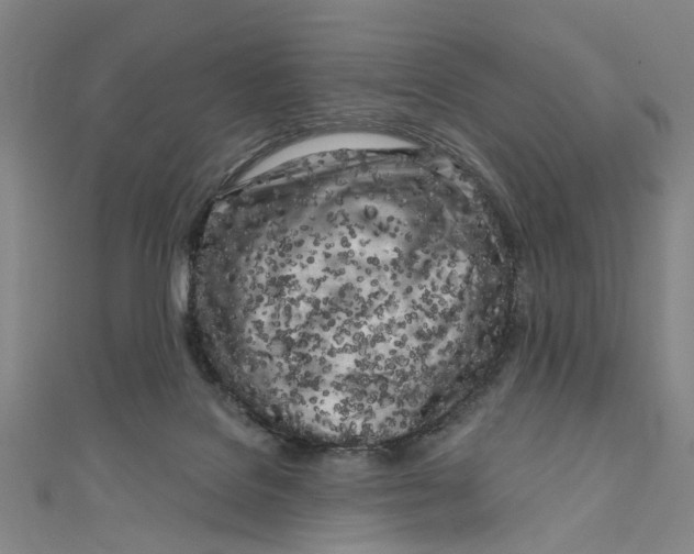 X0000111180076200907221057