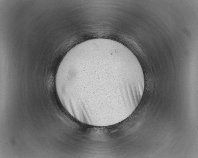 X0000111180077200907221057