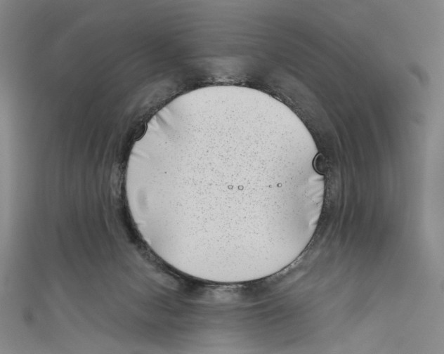 X0000111180078200907221057