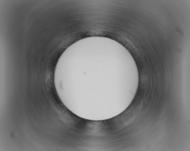 X0000111180079200907221057