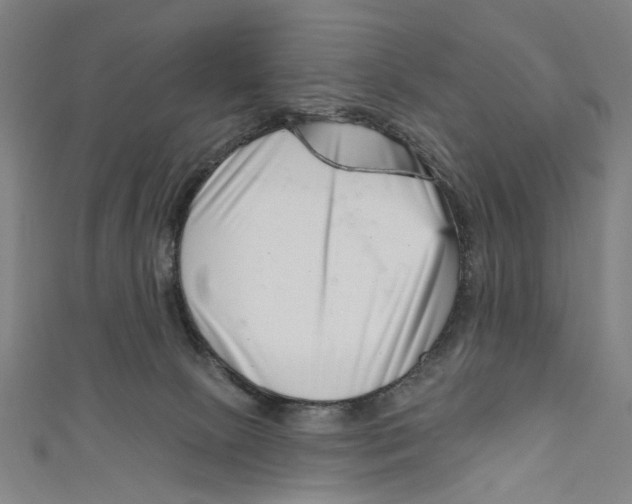 X0000111180081200907221057