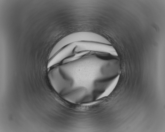 X0000111180084200907221057