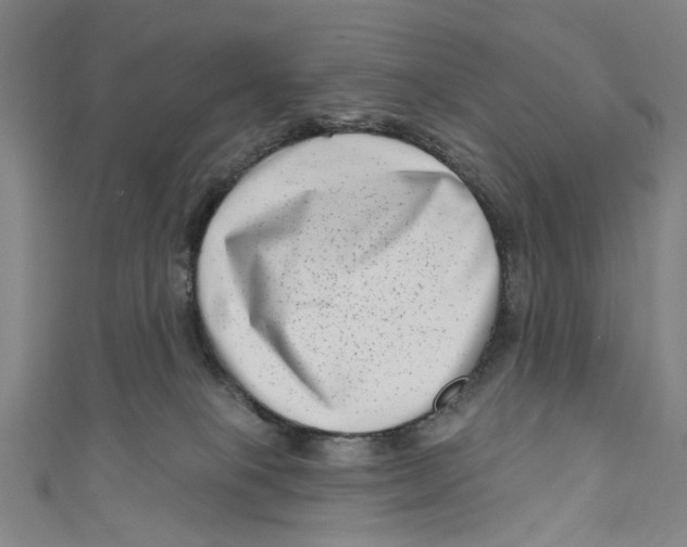 X0000111180085200907221057