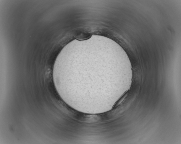 X0000111180087200907221057