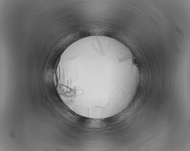 X0000111180093200907221057