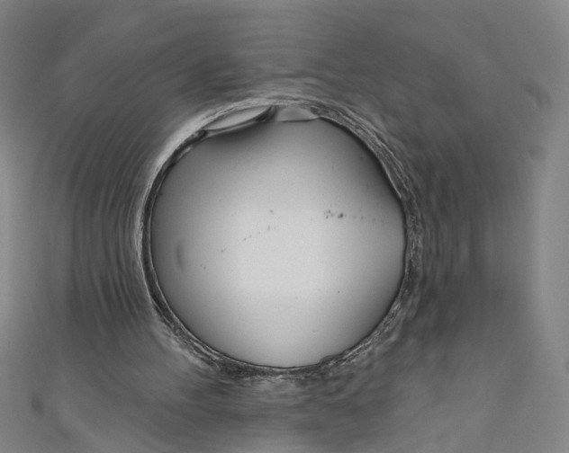 X0000111180100200907221057