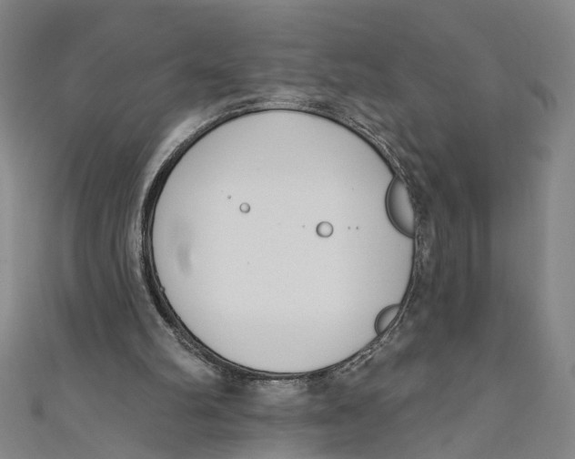 X0000111180102200907221057