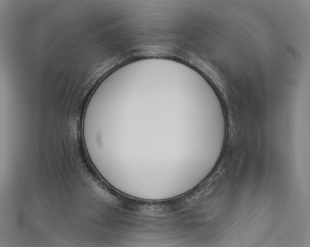 X0000111180105200907221057