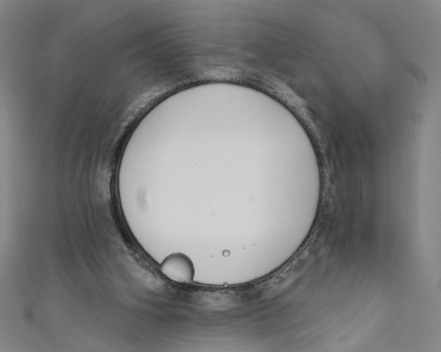 X0000111180106200907221057