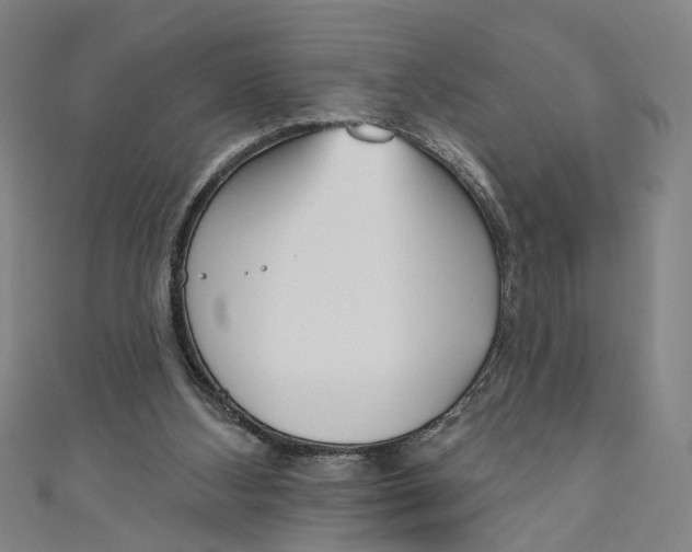 X0000111180108200907221057