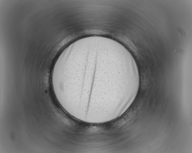 X0000111180111200907221057