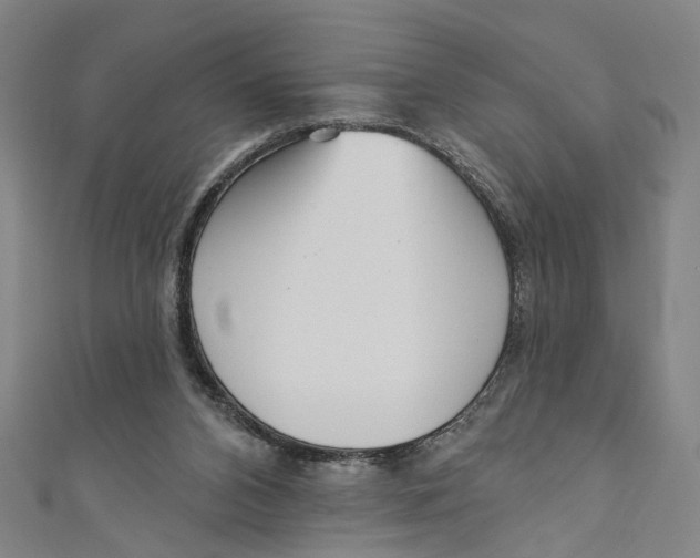 X0000111180112200907221056