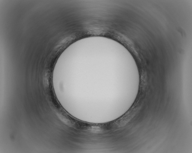 X0000111180114200907221056