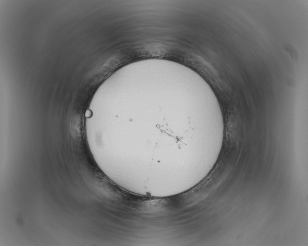 X0000111180122200907221056